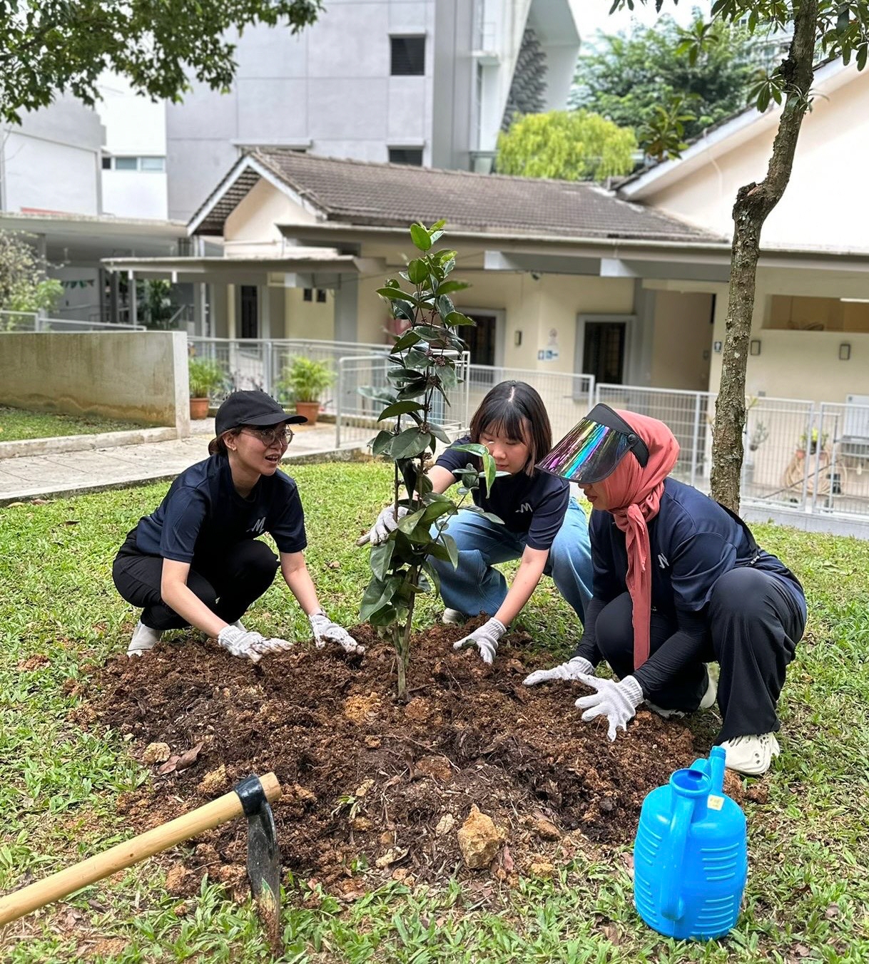 Sustainability<br> efforts