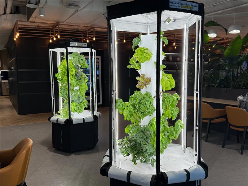 Embedding a culture of sustainability