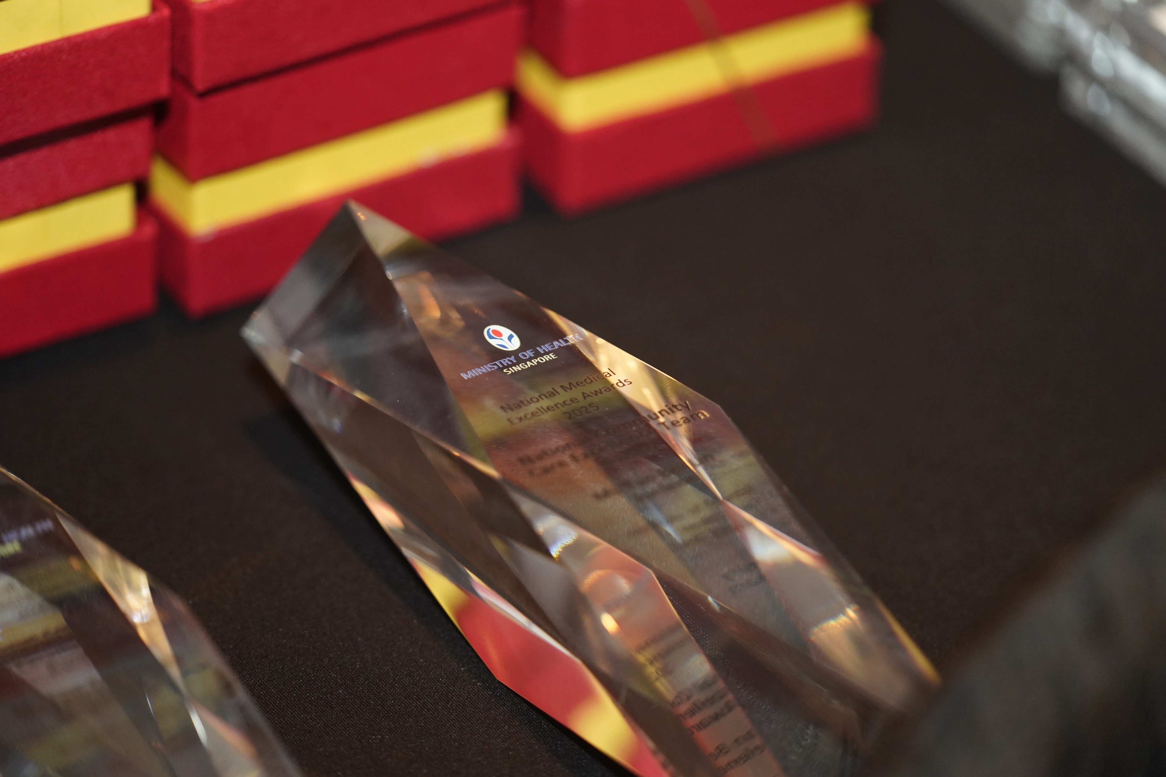 National Medical Excellence Awards 2025